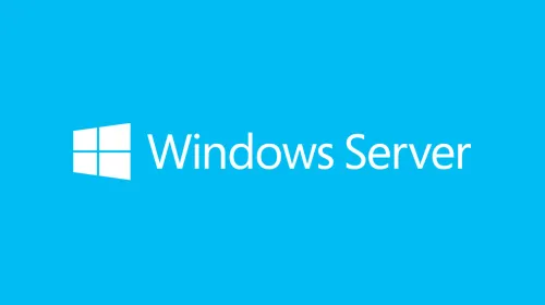  Windows Server 2019 Client Access License (CAL) 1 licenza/e