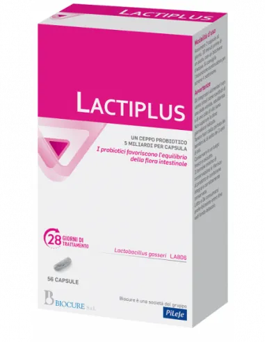 Lactiplus 56 Capsule - Biocure Srl