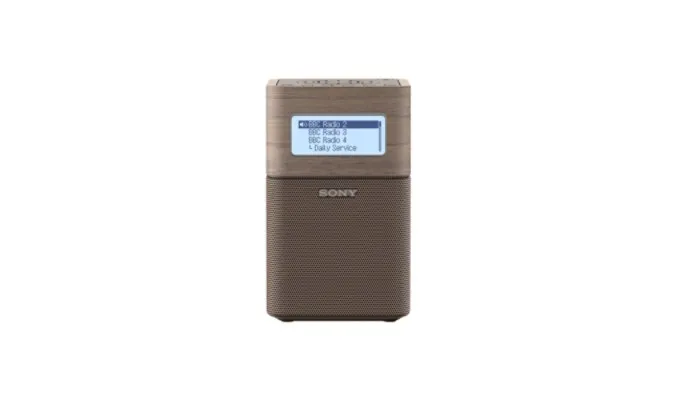 Sony XDR-V1BTD radio Portatile Marrone