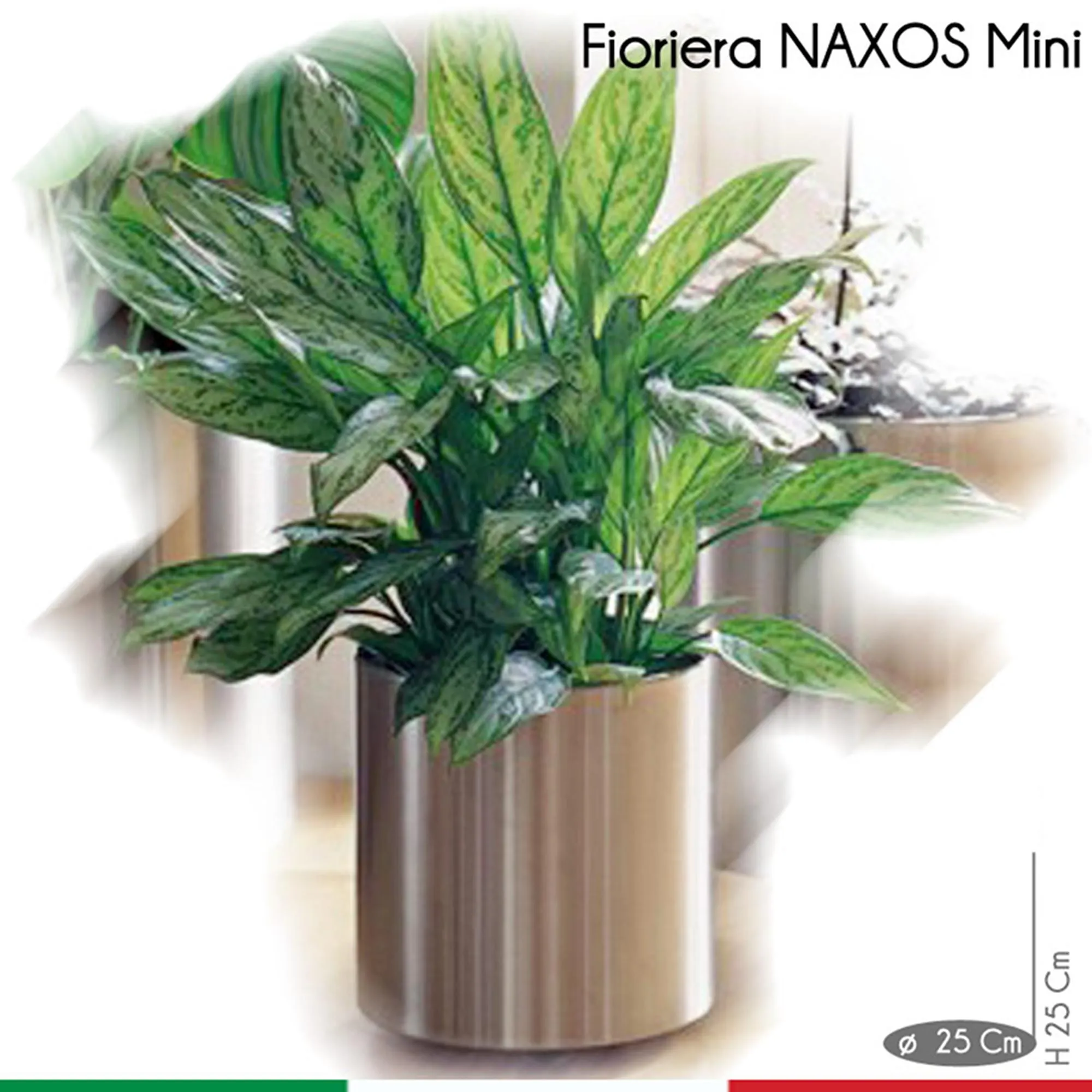 Fioriera Naxos Mini diametro 25xh25 cm - L 12 in Acciaio Inox Aisi 430 inox Lucido