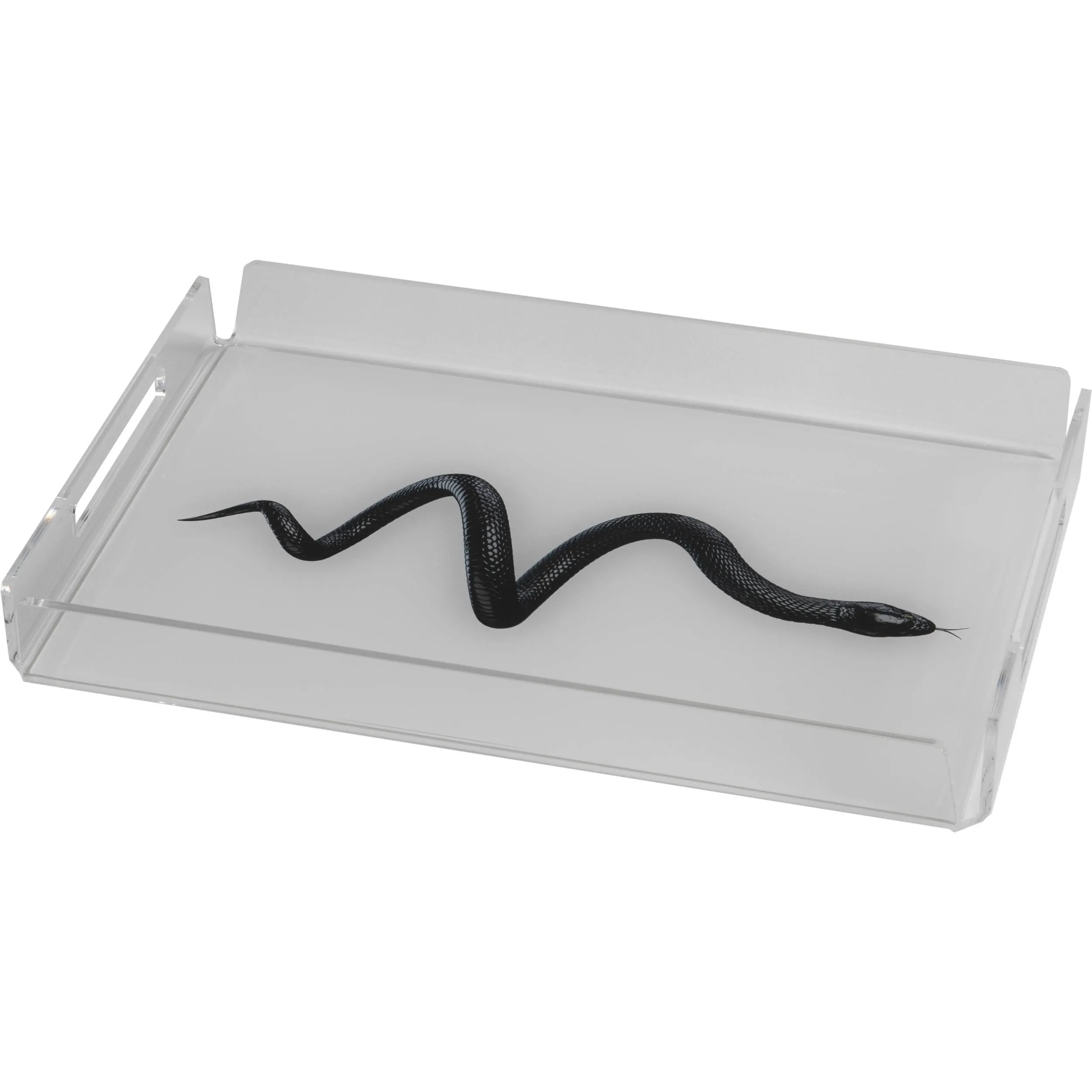 vassoio small like water snake, dimensioni h32x22x3,5 cm, peso 0,44 kg, spessore 5 mm decorato