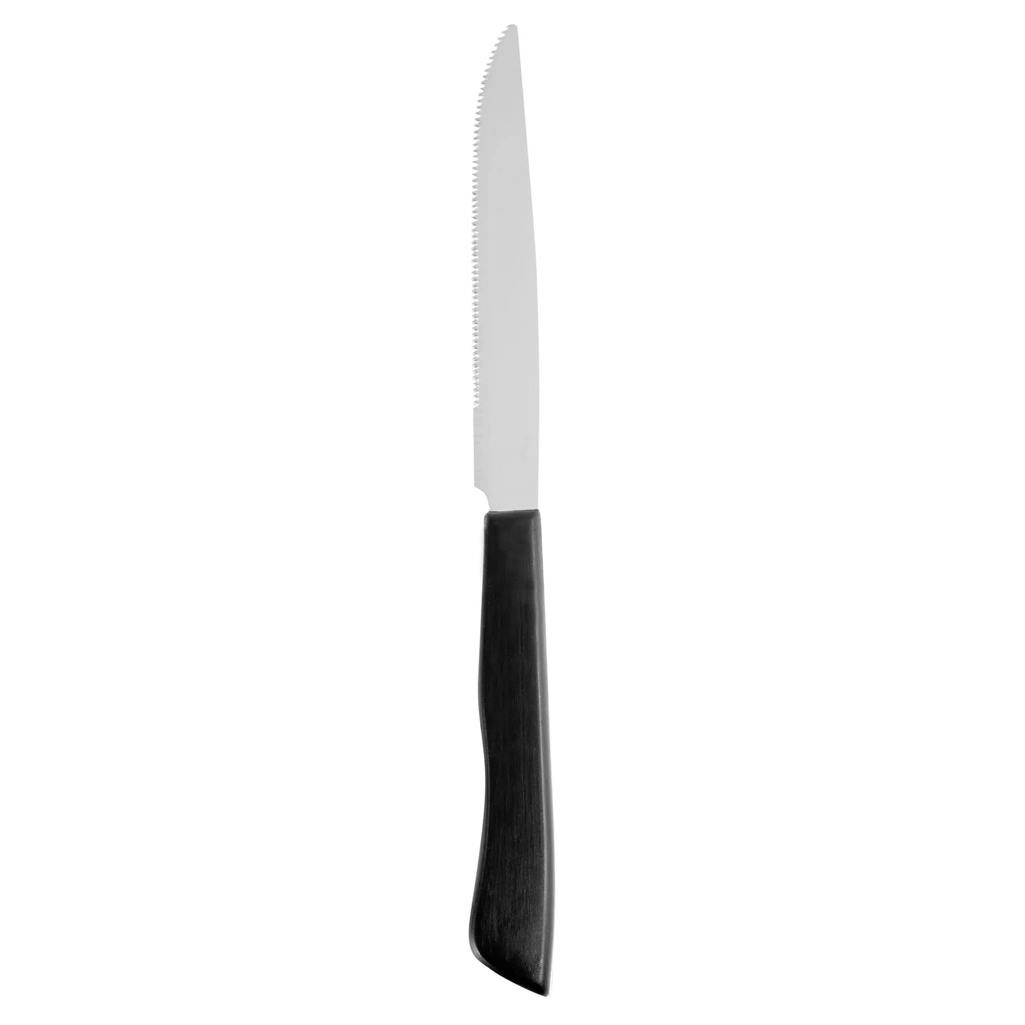 Coltello da Bistecca manico ACRILICO ZAK 230 mm in acciaio inox 18.10 lucido adatto all'uso in Lavastoviglie