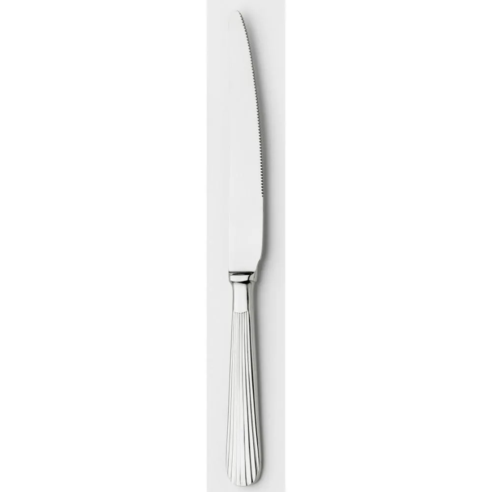 Coltello da Bistecca manico Pieno EDEN in acciaio inox 18.10 lucido spessore 3 mm