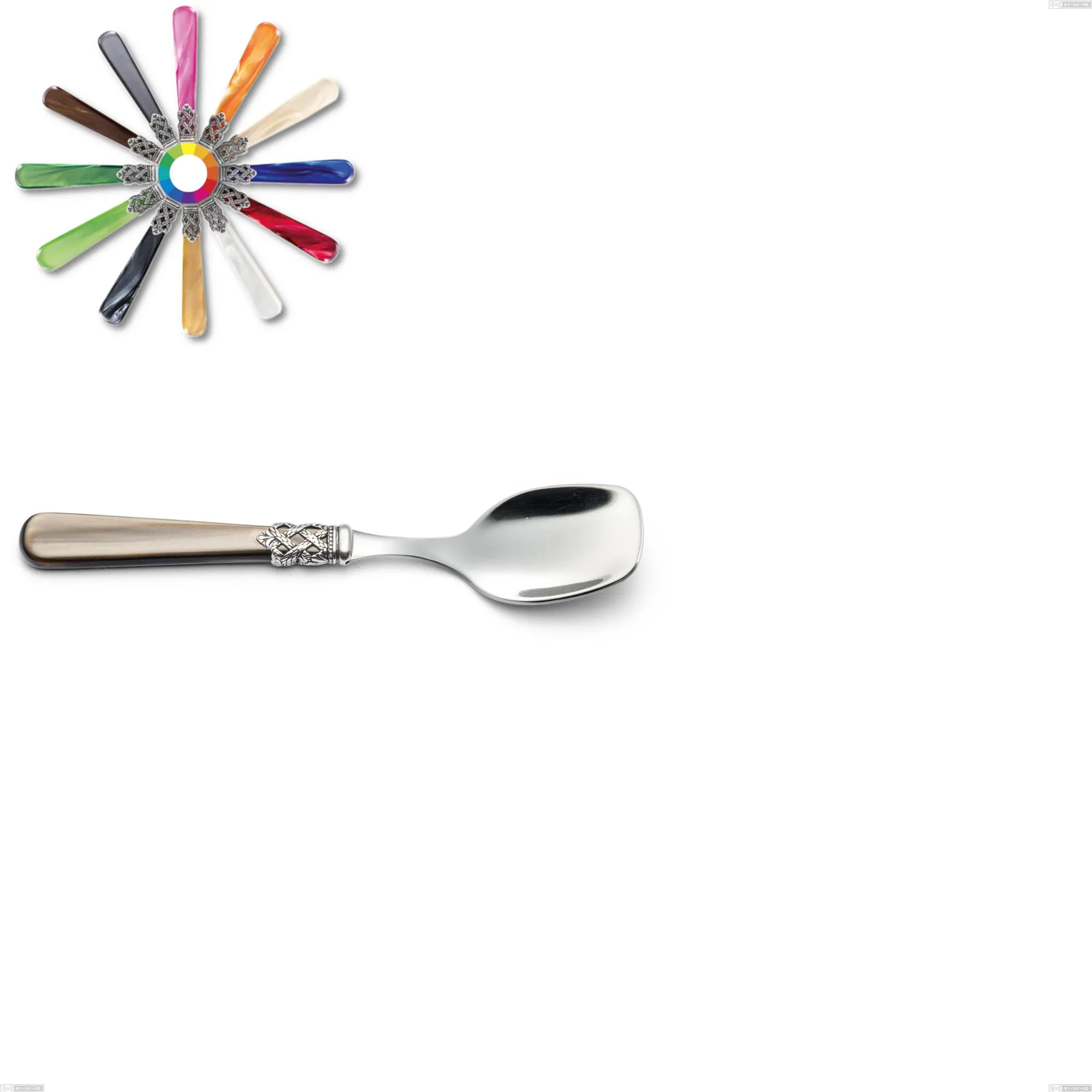 Cucchiaio gelato Ginevra, (acciaio 18.10 aisi304), manico in nylon, Lunghezza 147 mm