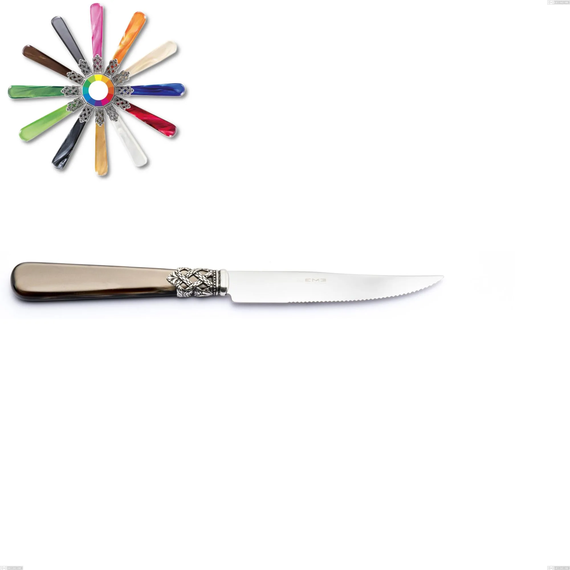 Coltello bistecca Ginevra, (acciaio 18.10 aisi304), manico in nylon, Lunghezza 221 mm