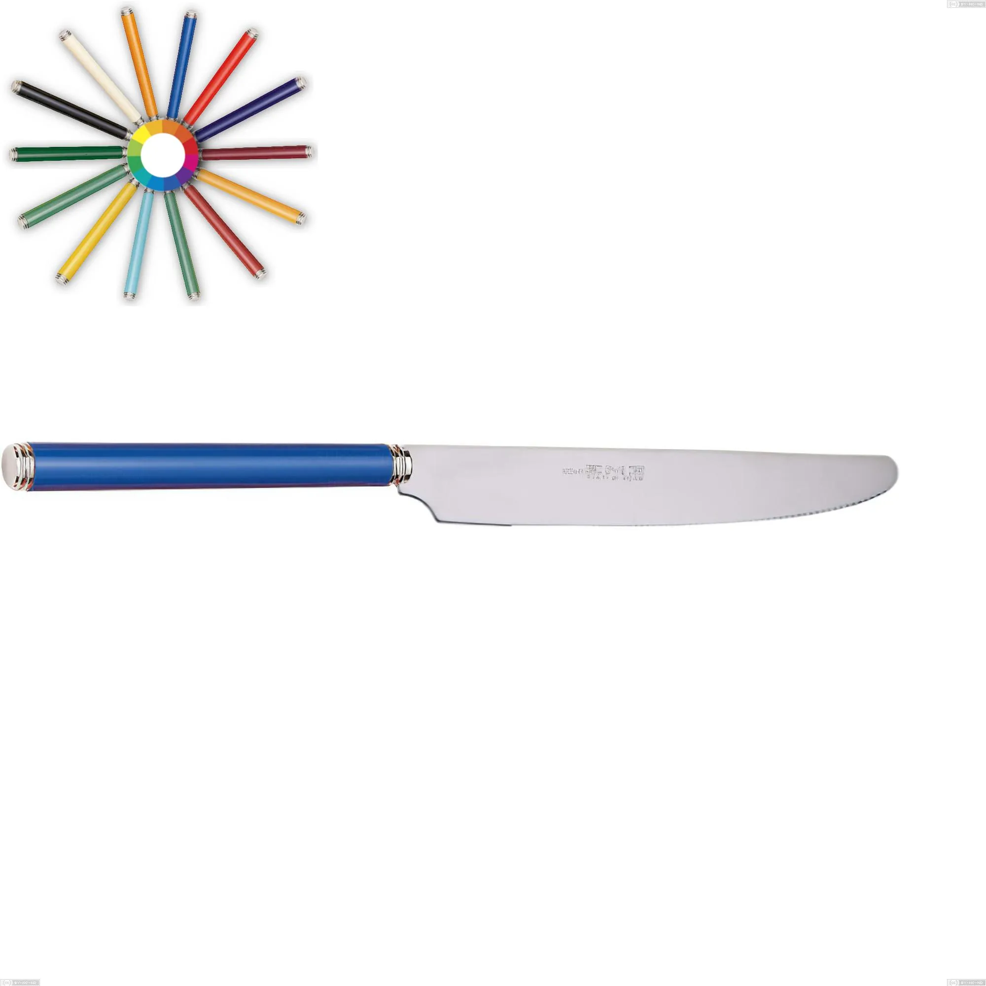 Coltello da tavola LINEA in acciaio 18.10 manico Lunghezza 210 mm in Metacrilato lavabili in lavastoviglie